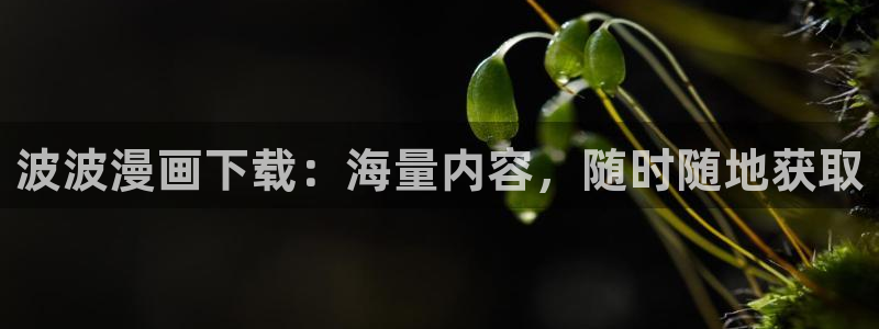 飞飞漫画网：波波漫画下载：海量内容，随时随地获取