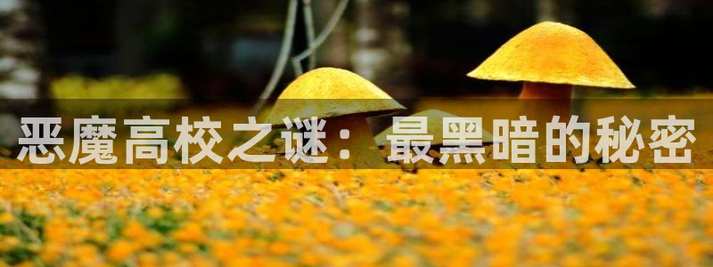 飞飞漫画官网：恶魔高校之谜：最黑暗的秘密