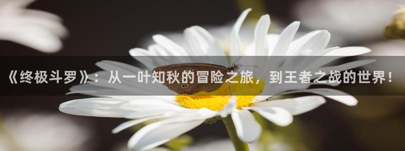 飞飞漫画免费：《终极斗罗》：从一叶知秋的冒险之旅，到王者之战的世界！