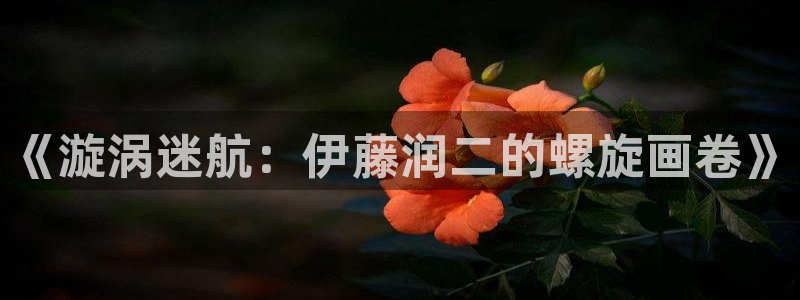 飞飞漫画免费：《漩涡迷航：伊藤润二的螺旋画卷》